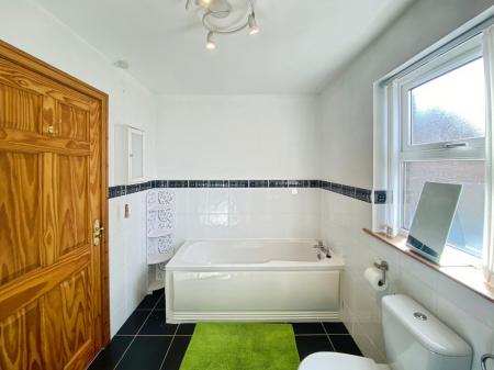 156bf469-IMG_1610.jp