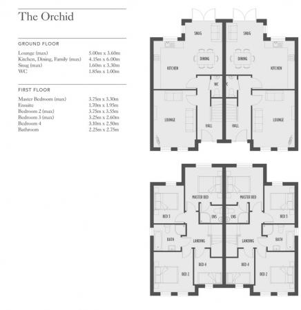 05- The Orchid C7Bs