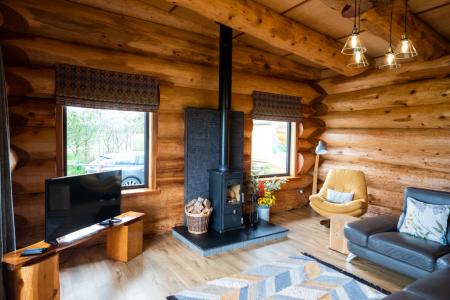 SALIX STOVE