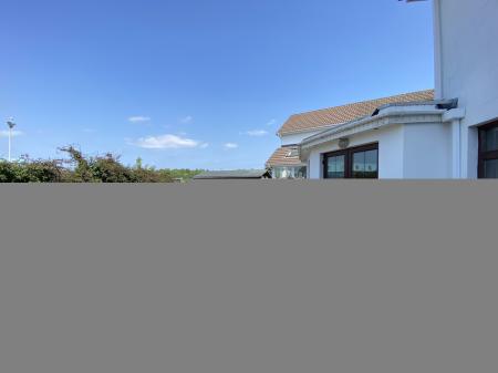 IMG_2598.jpeg