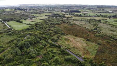 DJI_0742.JPG