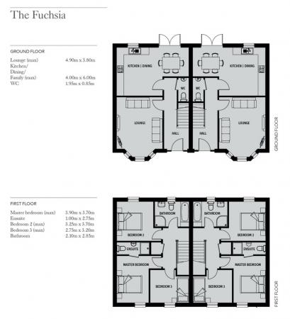 Fuchsia semis floor