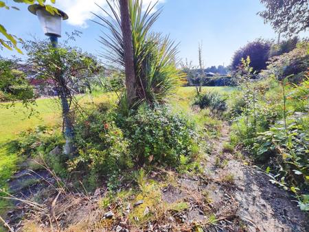 ad387b81-IMG_2026082