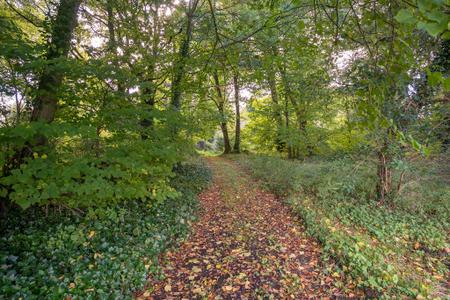 76 Mullaghinch Road-