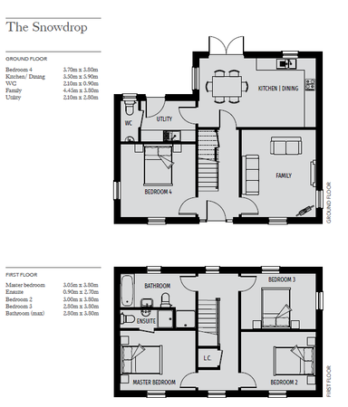 Snowdrop detached fl