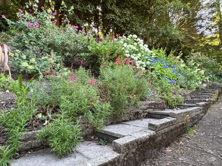 Garden (3)