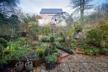 46 Salisbury Street_Garden