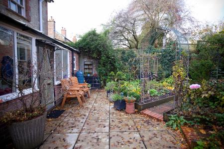 46 Salisbury Street_Garden (1)