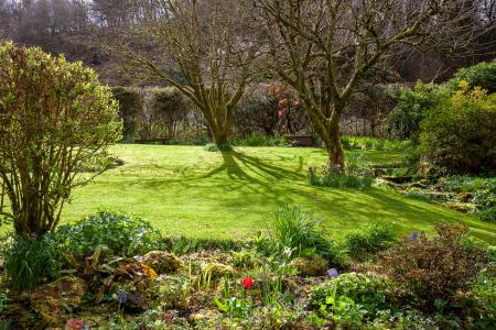 Garden (2)