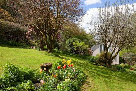 Garden (4)