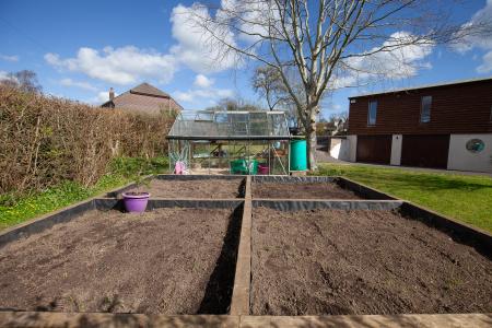Vegetable Garden