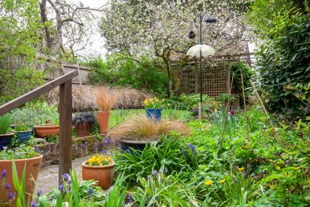Garden (1)