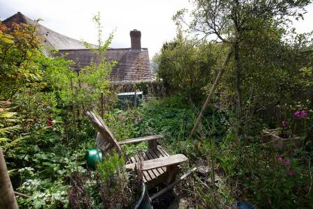 57Sal St_Garden