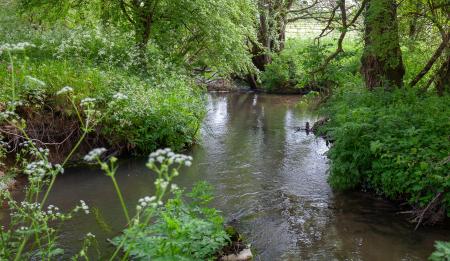 River