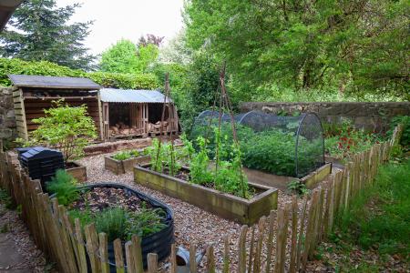 Garden (1)
