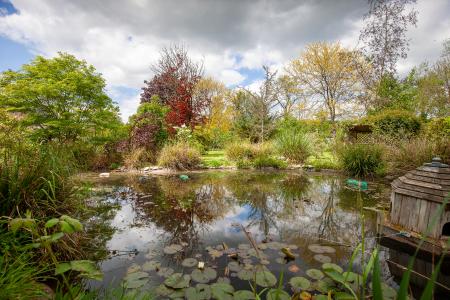 Birchwood_Pond