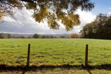 2/3 Hays Park_Communal Grounds (1)
