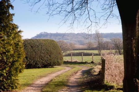 2/3 Hays Park_Communal Grounds