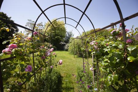 My Lady's Cottage_Garden