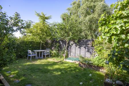 6CW_Rear Garden