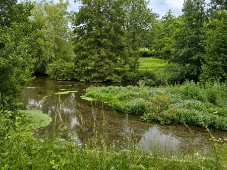 Stream