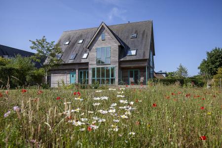 Rear Aspect_5DP