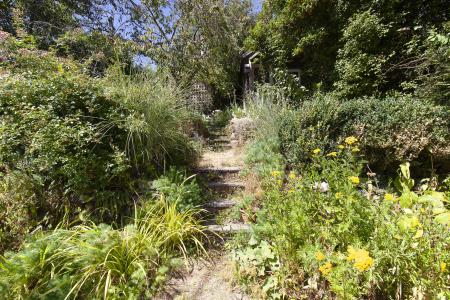 Garden_
