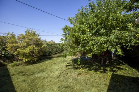 Garden_Culvers