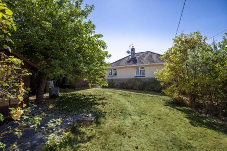 Garden_Culvers(2)
