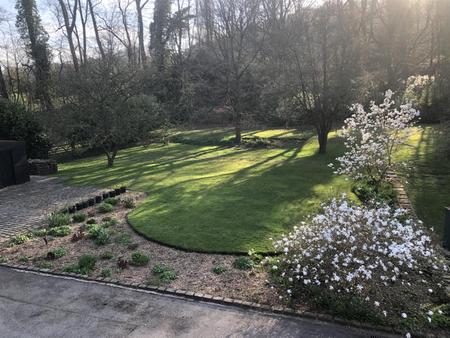 1 The Cottage garden landscape.jpeg