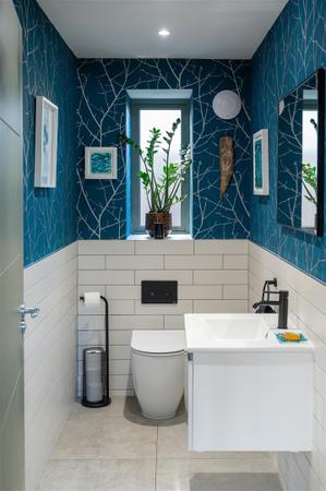 Downstairs Loo, 01