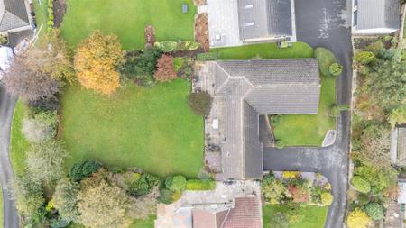 JLPM_4.jpg