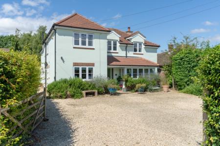 DSC09462 - 800px.jpg