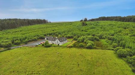 def78f3e-DJI_0684.JPG