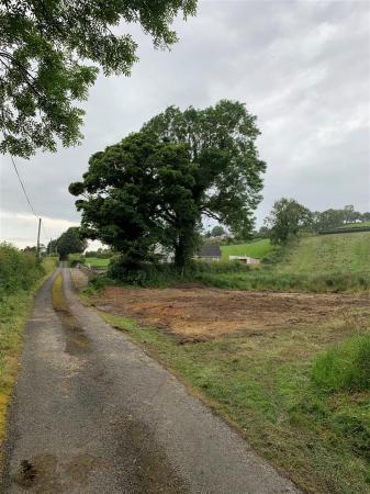 Sean Ward - 60m North West 3.jpg