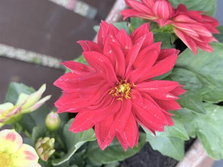 IMG_0898.jpeg