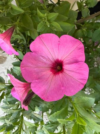 34ff0109-1b4a-4ee6-87f1-970f313921a6.jpeg