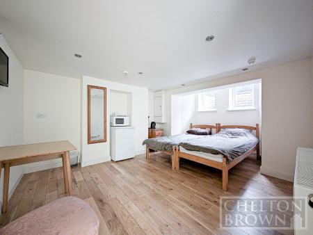 Bedroom 8 (Basement)