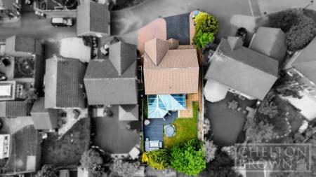 Aerial Plot