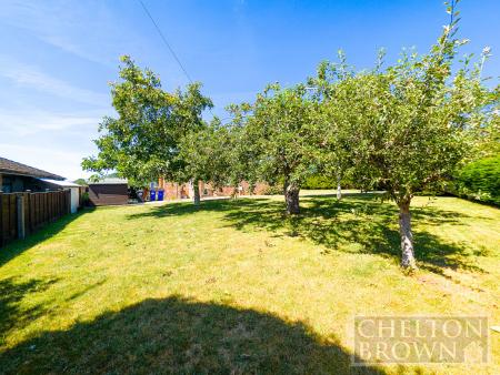 Orchard