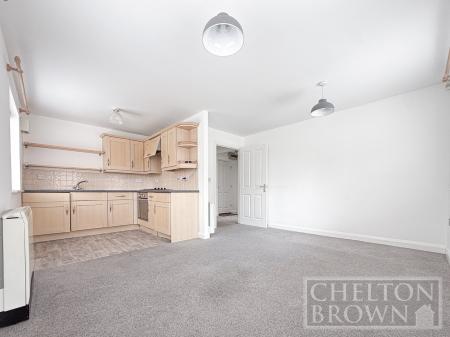Kitchen/Living Area