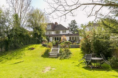 Garden - view to house