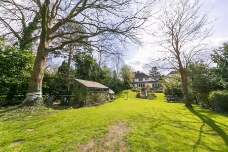 Garden - view to house