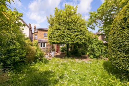 Garden - view to house