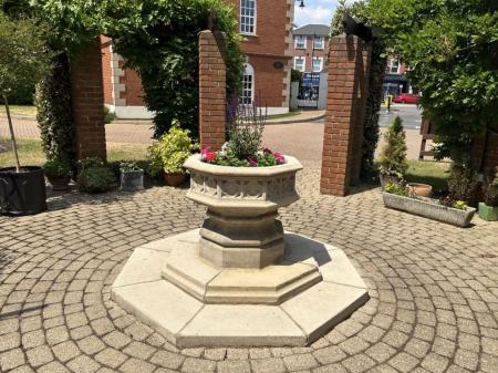 Communal Gardens (Summer Photo)