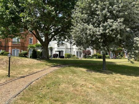 Communal Gardens (Summer Photo)