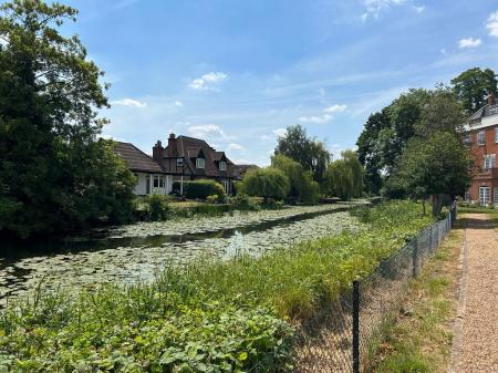 River Mole (Summer Photo)