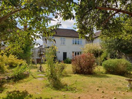 Garden to house (summer photo)