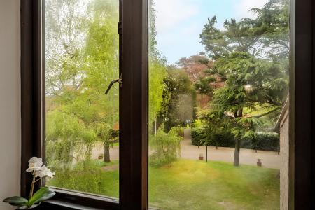 Verdant Views