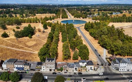 Bushy Park Aerial View